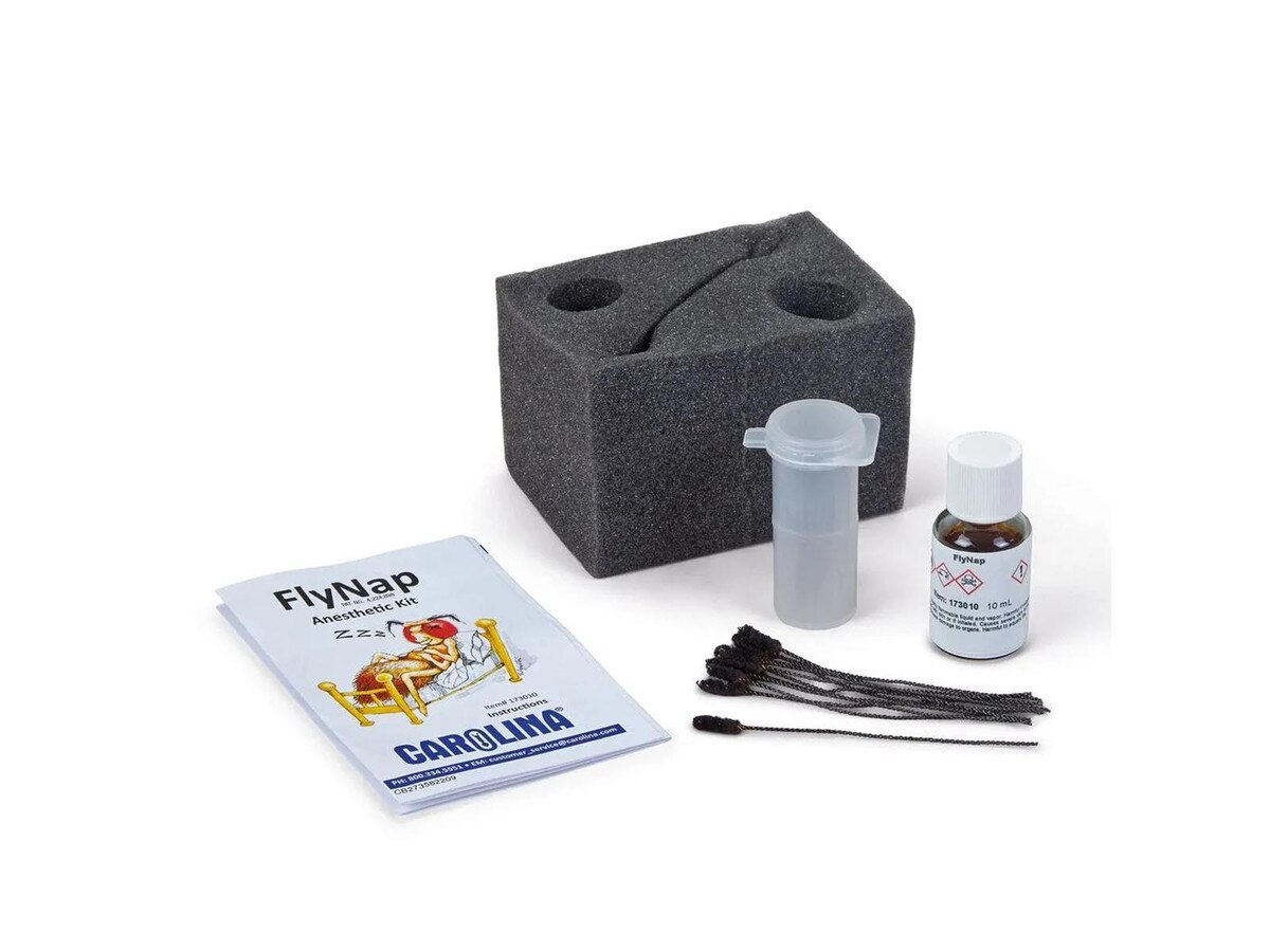 17-3010 Carolina FlyNap Anesthetic Kit 1010424