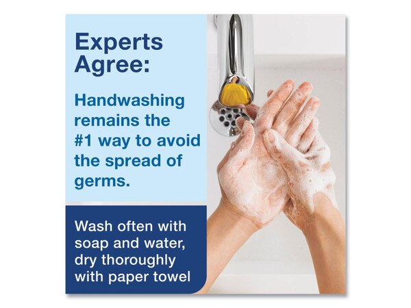 Clarity Hand Soap, Unscented, 1 L Refill, Clear, 6/Carton